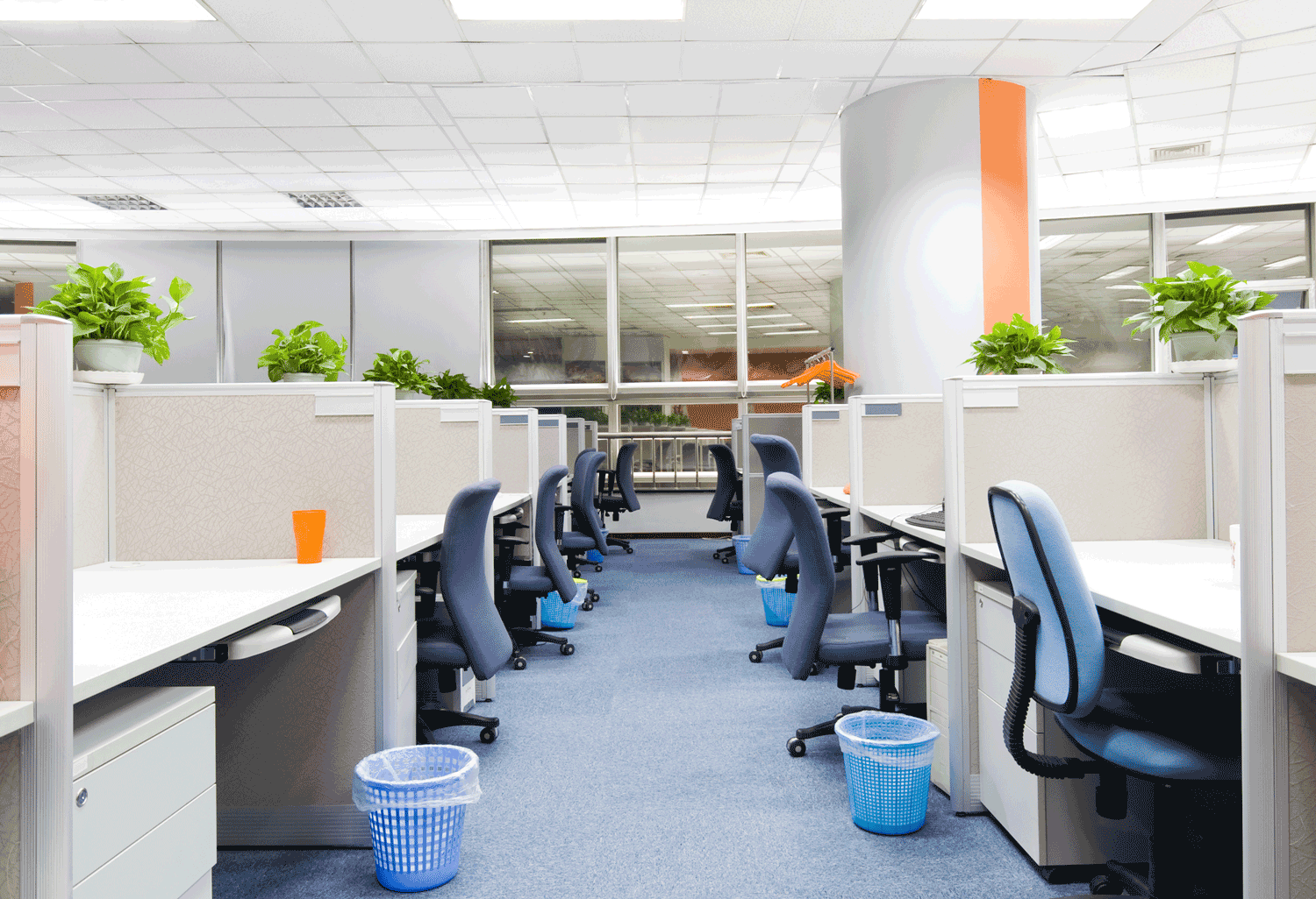 office cleaning